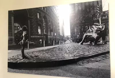 The Girl and the Bull