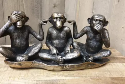 Horen, zien en zwijgen 