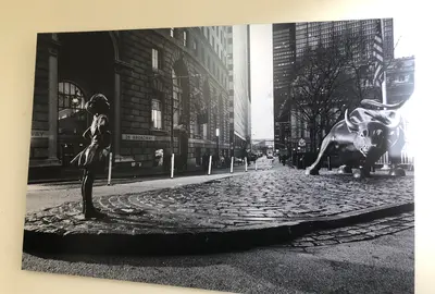 The Girl and the Bull