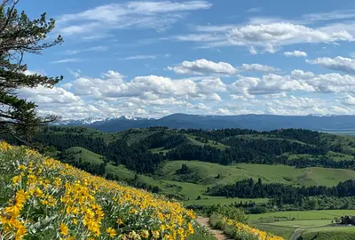 Montana, Verenigde Staten. Foto: Stephanie Davison/ Unsplash