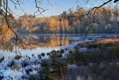 De Wildernis, deel van natuurgebied Lonnekermeer.