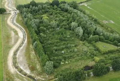 Foto: Stichting Voedselbos Nederland 
