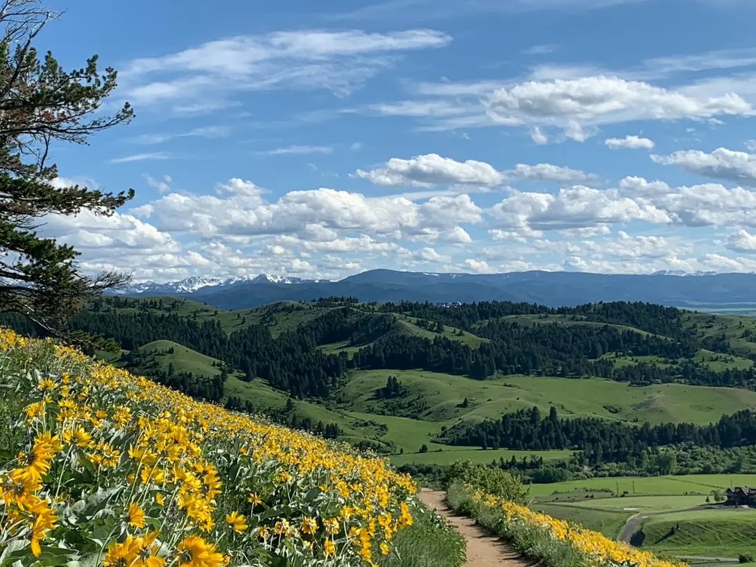 Montana, Verenigde Staten. Foto: Stephanie Davison/ Unsplash