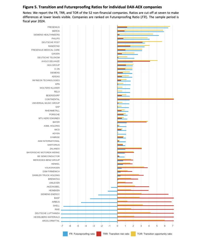 Futureproofing Ratios for individual DAX-AEX companies