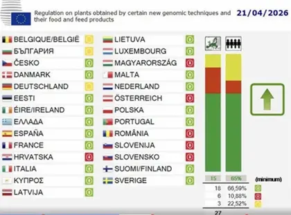 Stemming Europese Raad 